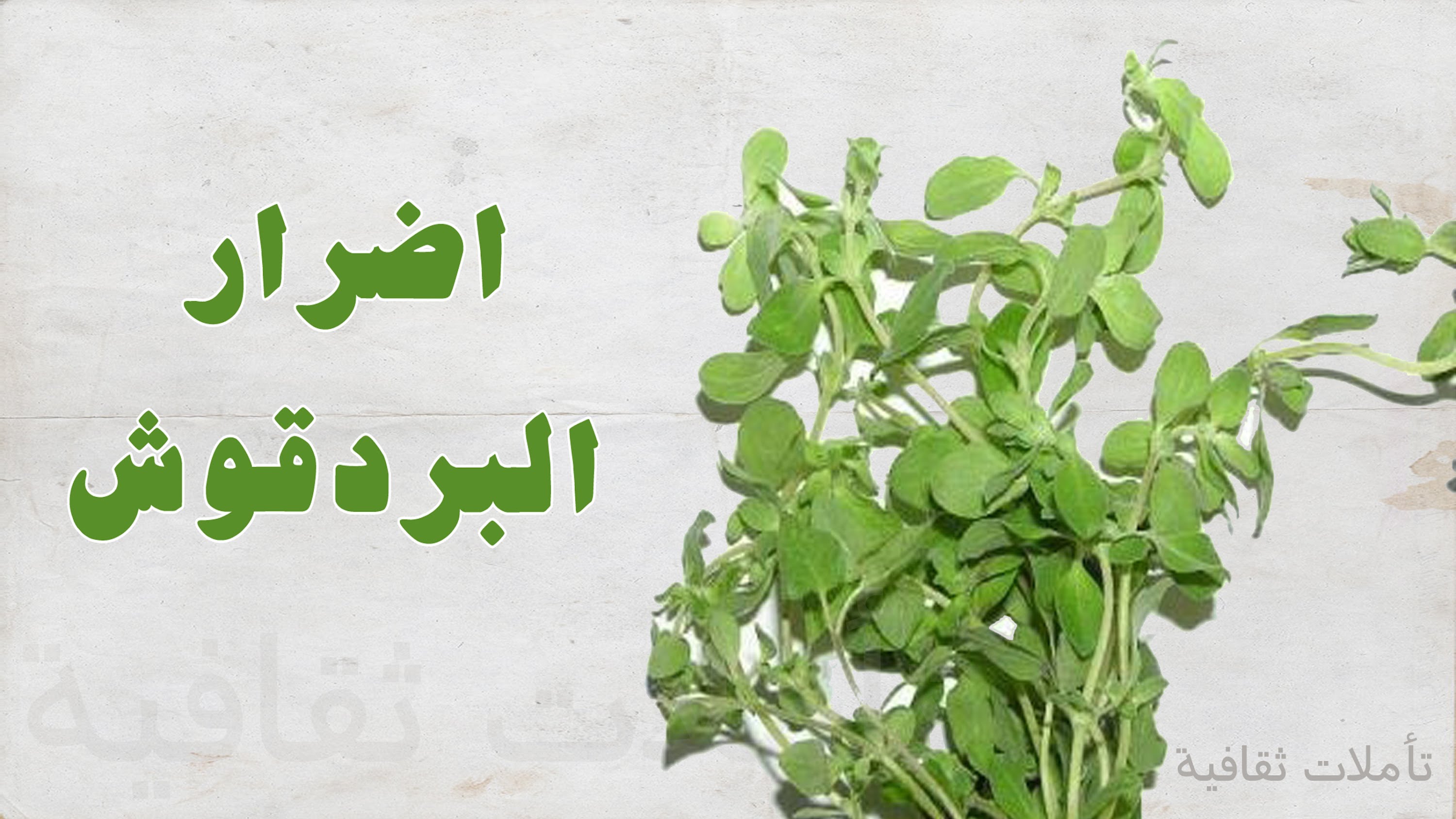 اضرار البردقوش , احظر اضرار البردقوش