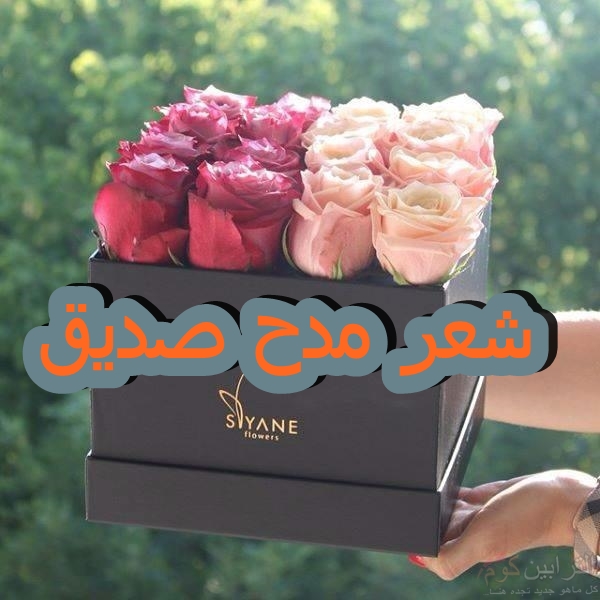 شعر مدح الصديق , كلمات عن الصديق