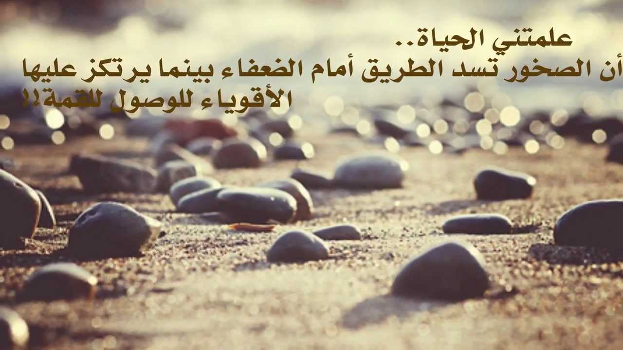 966 9 كلام جميل جدا عن الحياة - عبارات عن الدنيا مميزة يارا محمد