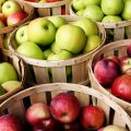 12264 3 ما فوائد التفاح - فوائد التفاح الصحية لولو ندا