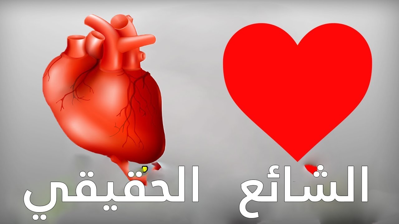 12347 الحب في القلب - احلي كلام من القلب منال مصطفى